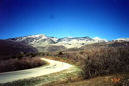 On the La Sal Mountain Loop