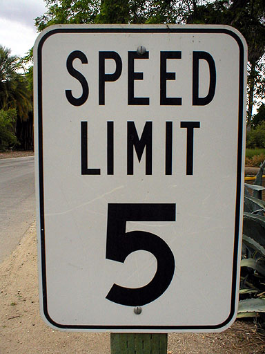 Time to Slow Down, and Head for the Los Angeles County Arboretum