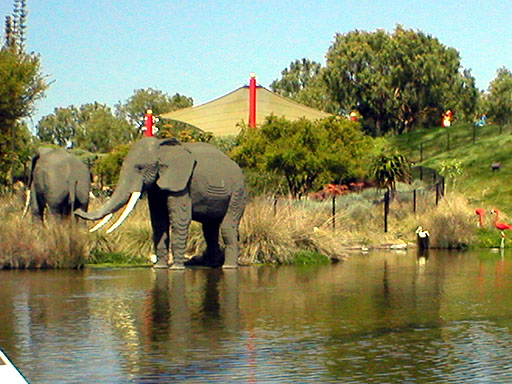 Elephants and Flamingos