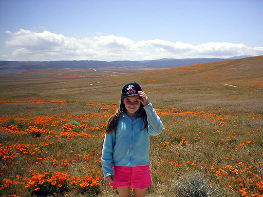 Munchkin At California Poppy Reserve