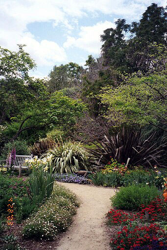 Trailside Scene