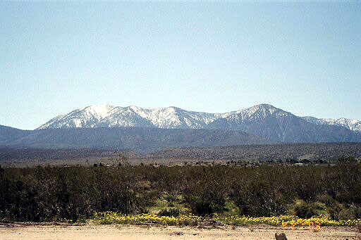 More of the Angeles Crest, From SR 138 Near Pearblossom