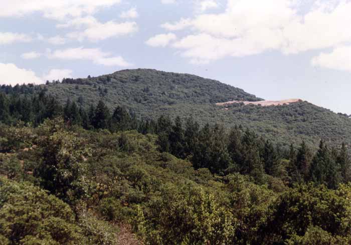 Bennett Mountain from Steve's S Trail