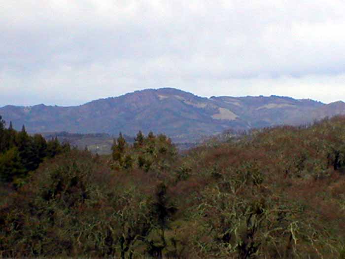 Hood Mountain from Jack London State Park